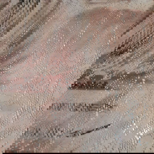 Cotton lace in brown beige shades new