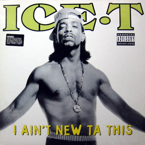 Ice-T I Ain't New Ta This vinyl record used
