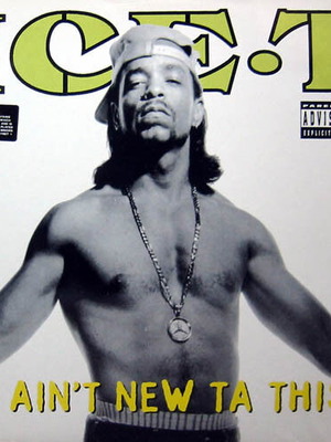 Ice-T I Ain't New Ta This vinyl record used