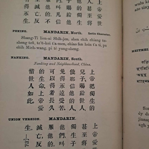 The Gospel in Many Tongues used book, 1912, Greek included