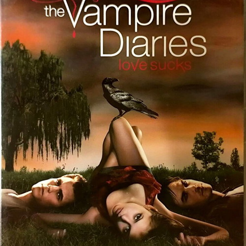 The Vampire Diaries Complete First Season DVD used, English subtitles