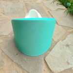 Potty used with backrest