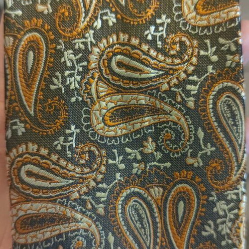 Silk tie new with unique paisley design