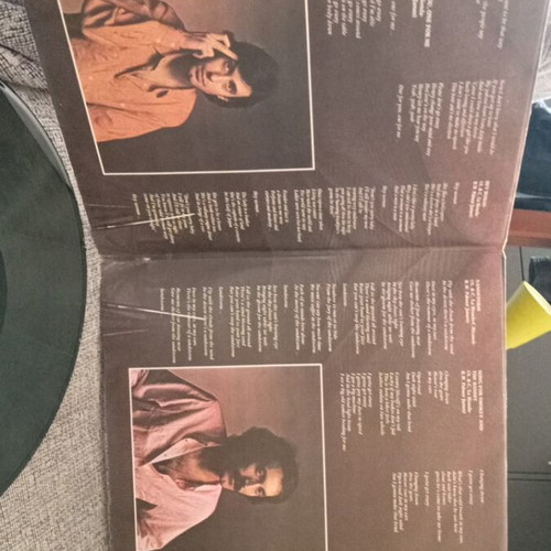La Bionda vinyl record used