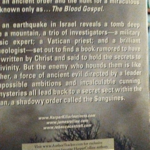The Blood Gospel book like new, English