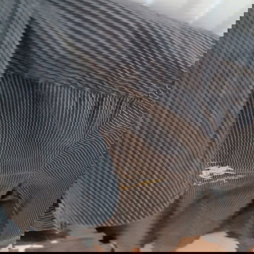 Πουκάμισο La Martina γκρι με ρίγα και κέντημα σε άριστη κατάσταση