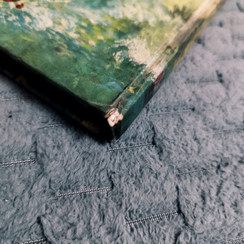 Book O Moglis used, vintage children’s story