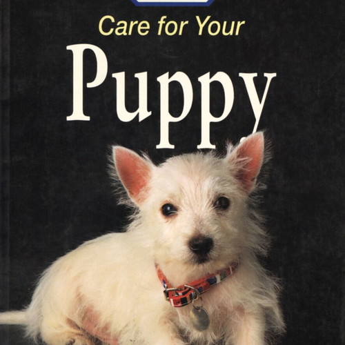 Care for Your Puppy book like new, English