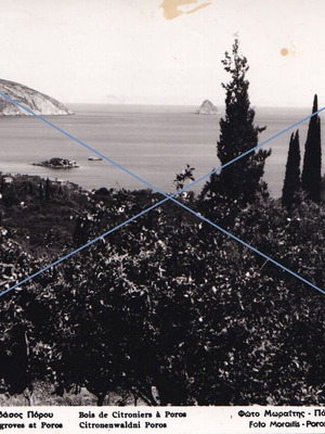 Λεμονοδάσος Πόρου καρτ-ποστάλ μεταχειρισμένη, Φωτο Μωραΐτης