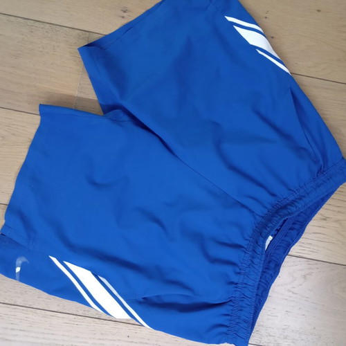 Nike athletic shorts dry fit size Large like new blue