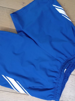 Nike athletic shorts dry fit size Large like new blue