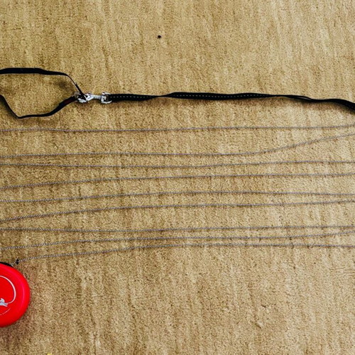 Hexi dog leash 8m for small dogs new, red