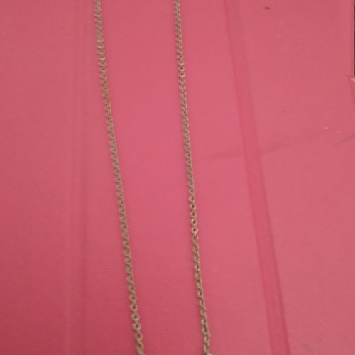 Dragonfly necklace used with integrated chain that does not tarnish