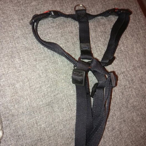 Dog harness new, only with box