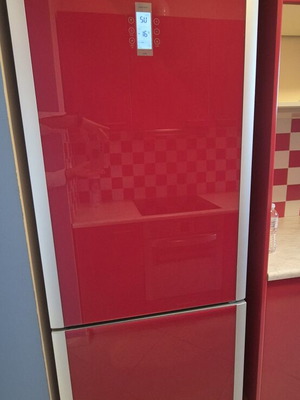 Bosch refrigerator like new, used 1.5 years in office