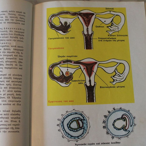Dictionary of Human Anatomy 1963, new, Greek language