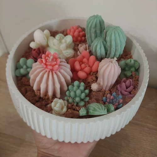 Cactus Garden Handmade Decorative Candle New, scented