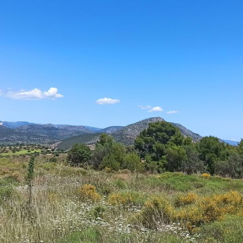 Buildable land plot 33,000 m² in Peloponnese with panoramic view