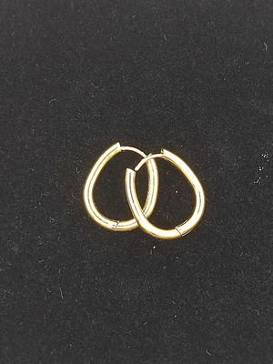 Hoops earrings stainless steel gold color new