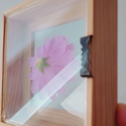 Decorative frame with encased flower, new