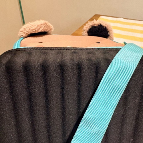 Goomby Lunch Bag Used, Kids Bear Design with 2 Compartments