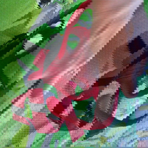 Μάρσιπος Chicco Go Scarlet μεταχειρισμένος