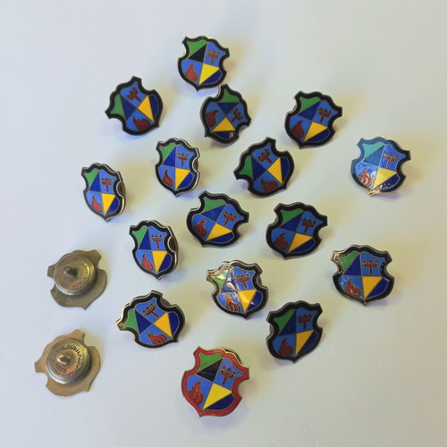 Set of French Sports Enamel Pins 1920-30 used, 18 pcs