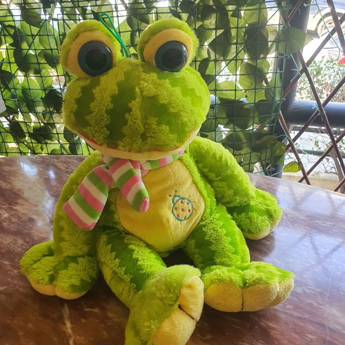 Frog plush toy like new