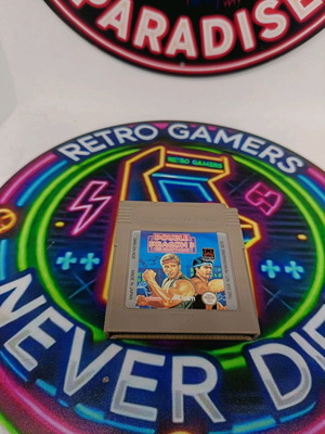 Double Dragon 3 for Nintendo Game Boy used