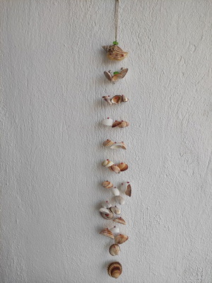 Dreamcatcher made of seashells new