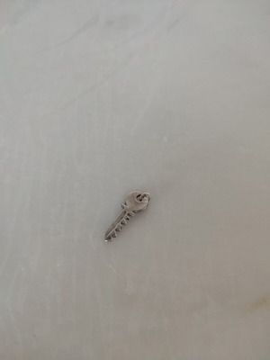 Silver 925 pendant charm