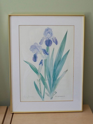 Lithograph print of Iris Germanica by Niki Goulandris, framed