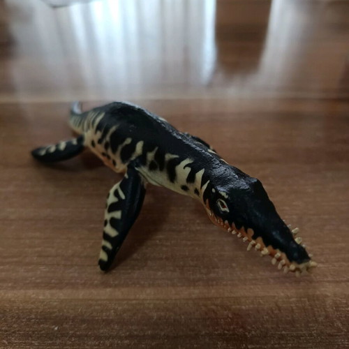 Liopleurodon sea dinosaur used, length 17cm