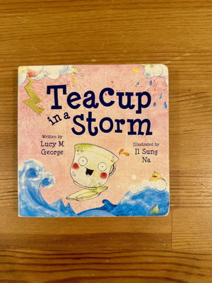 Teacup in a Storm children's book like new, English