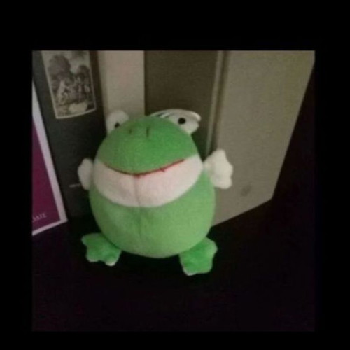 Plush frog new, small green