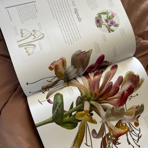 The Science of Plants book new, coffee table, English