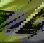  Επίσημη εμφάνιση, φανέλα Φενερμπαχτσε, Large