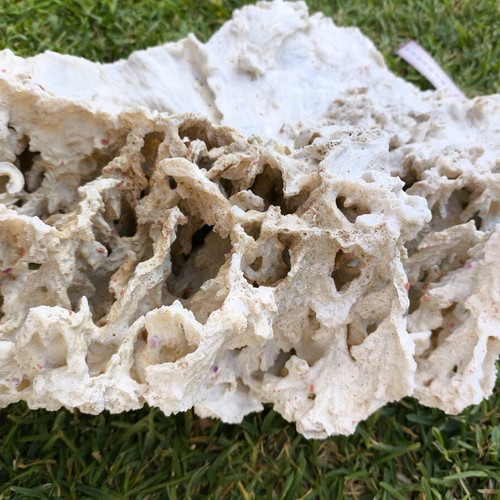 Old Marine Decorative Coral like new, 45 cm length