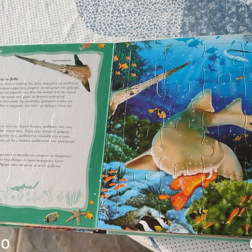 Nature Wonders puzzle book about sharks new