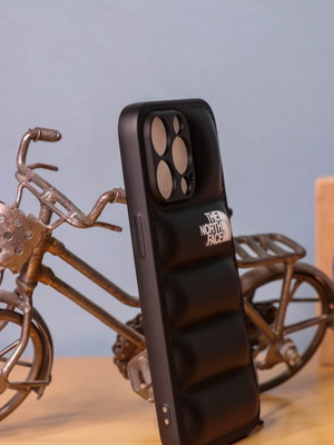The North Face iPhone 13 Pro case new
