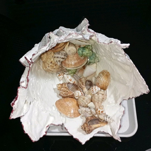 Decorative vase new cement with seashells