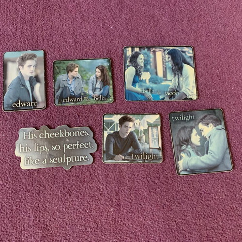 Twilight magnet bundle