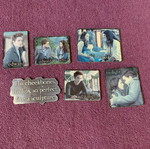 Twilight magnet bundle