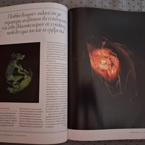 National Geographic July 2005 magazine, stem cells