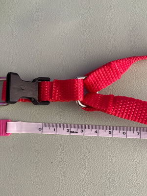 Simple red dog harness new, adjustable 1.5 cm width