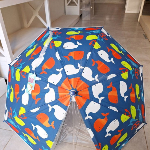 Children's umbrella new with whale design 68cm height