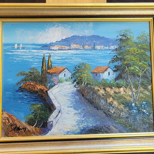 Painting with frame 50 x 40 used