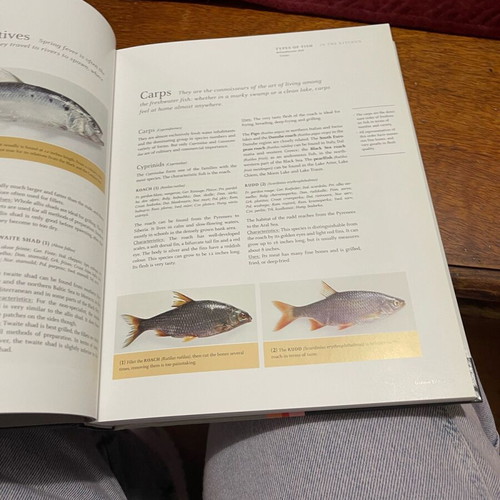 Teubner Fish and Seafood book new, English