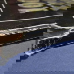  Βιβλίο 1991, 100 χρόνια μπάσκετ, από το περιοδικό Τρίποντο