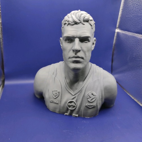 3D Printed Bust From Photo New, Personalized Gift